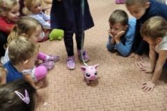 IMG_20230110_094621-1
