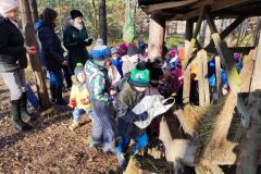IMG_20230208_104150