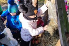 IMG_20230208_104230