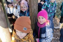 IMG_20230208_104242
