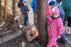 IMG_20230208_104625
