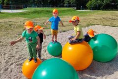 IMG_20230613_093256