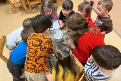 7b387c78-d647-414b-ac7b-fe043b357870