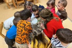 9d7e15f7-e8d4-43db-a838-e1c9a468be95