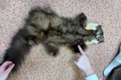 faa499a9-0cac-4103-9d8a-f0f1aacd2d22