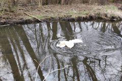 IMG_20230323_104636