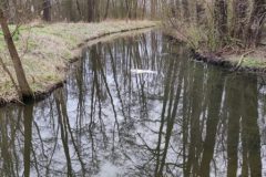 IMG_20230323_104704