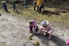 IMG_1395-1