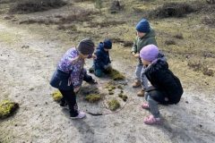 IMG_1400-1